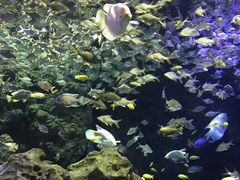 -成都浩海立方海洋公园