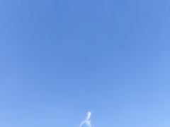 -洋湖国家湿地公园