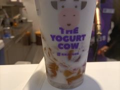 -一只酸奶牛(八一路店)