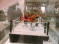 -济州岛泰迪熊博物馆