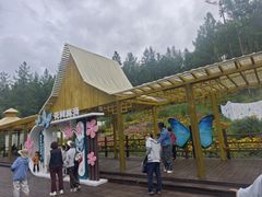 -莫尔道嘎国家森林公园