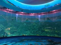 -海合安青岛极地海洋公园