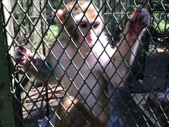 -藏龙百瀑风景区