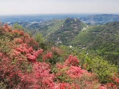 -木兰云雾山