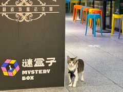 -谜盒子奇幻密室(南屏店)