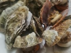 -宾朋海鲜特色美食餐厅·纯手工鲅鱼水饺(兴海路店)