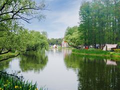 -上海共青森林公园