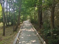 -棒棰岛宾馆景区