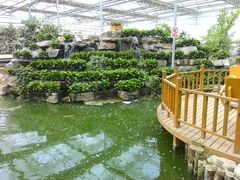 -泰山花样年华景区