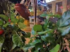 -海棠湾聚鼎香海鲜坊(海昌梦幻不夜城店)