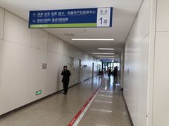 -首都医科大学附属北京天坛医院