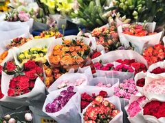 -秦美花卉(天朗·莱茵小城2期店)