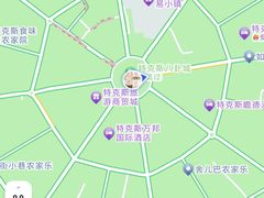 -特克斯八卦城