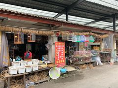 -金科花卉市场