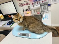-美联众合24小时·皮肤科·外科·全科诊疗中心(华苑分院)