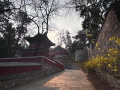 -香山公园