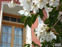 -浙江省杭州高级中学(贡院校区)