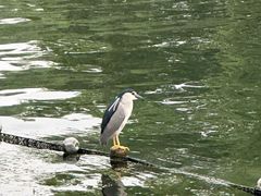 -西湖天地