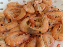 -港畔赶海蒸汽海鲜烧烤自助(仙螺岛店)