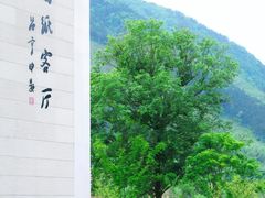 -中国宣纸文化园
