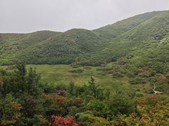 -大围山国家森林公园