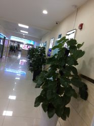 -成都军建医院·疤痕诊疗中心