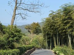 -裸心谷·裸心味餐厅