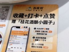 -苏晓玥·手作江南小吃(深圳北站店)