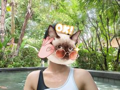 -海兰云天度假区温泉