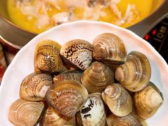-鲜入围煮花胶鸡海鲜火锅