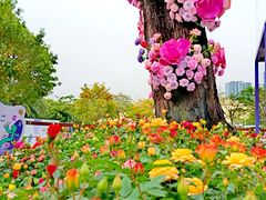 -云溪植物园