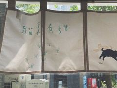 -猫里有甜