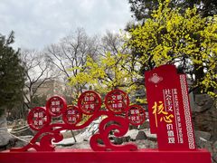 -八大处公园