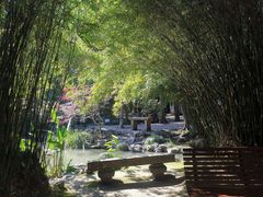 -汇龙潭