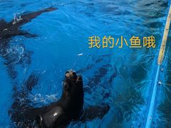 -上海海昌海洋公园