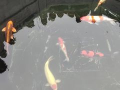 -西安市广仁寺