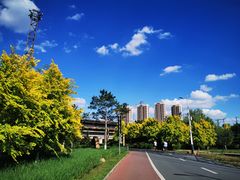 -长白岛森林公园