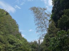 -天台山琼台仙谷景区