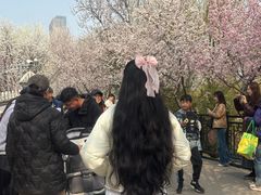 -桃花堤公园