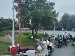 -绿堤公园