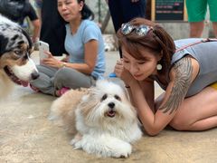-TrueLove @ Neverland (Husky Cafe)