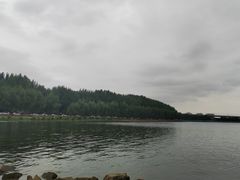 -丁香湖公园