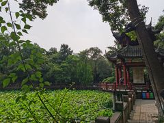 -房湖公园