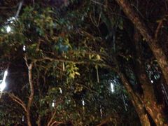 iphone_upload_pic-黄山温泉国际旅游度假区