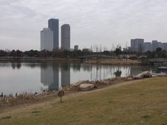 -尚贤河湿地