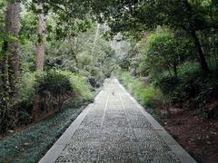 -溪口-滕头旅游景区