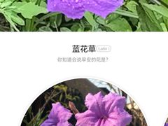 -大宁公园