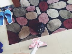 -骐奇宠物诊疗中心(南亭公路店)