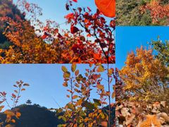 -周口店坡峰岭风景区