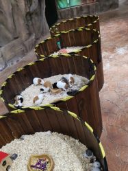 -宝燕乐园(闵行旗舰店)